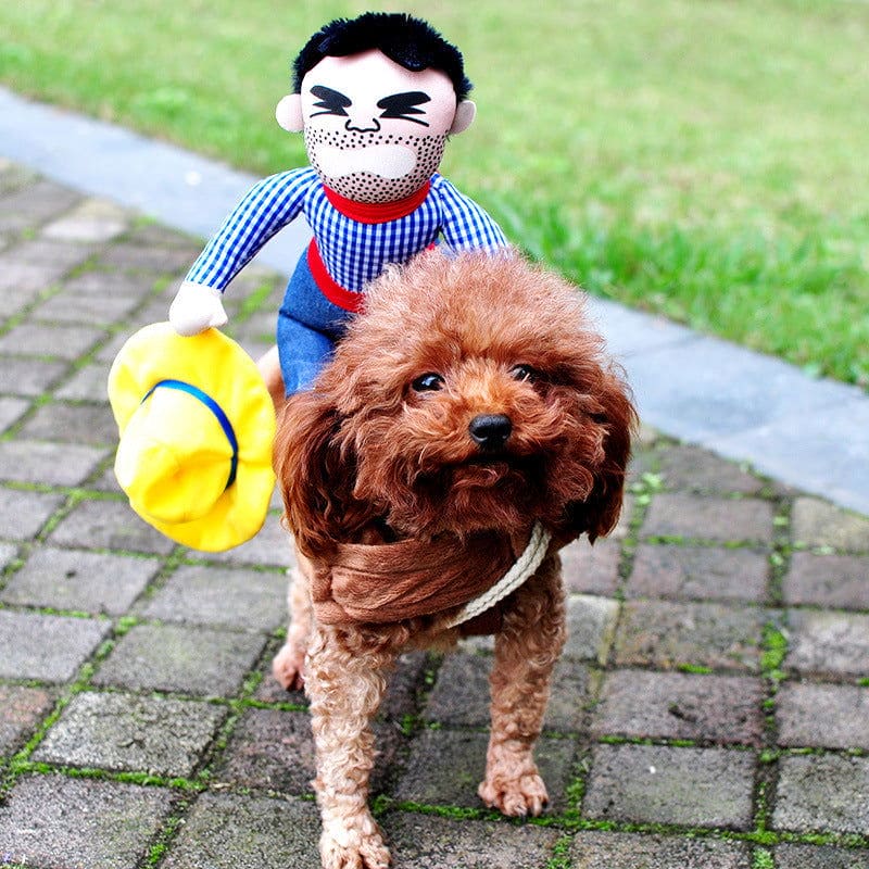 Funny Halloween Costumes For Dogs - Once & AGAIN Home Appliance Shop