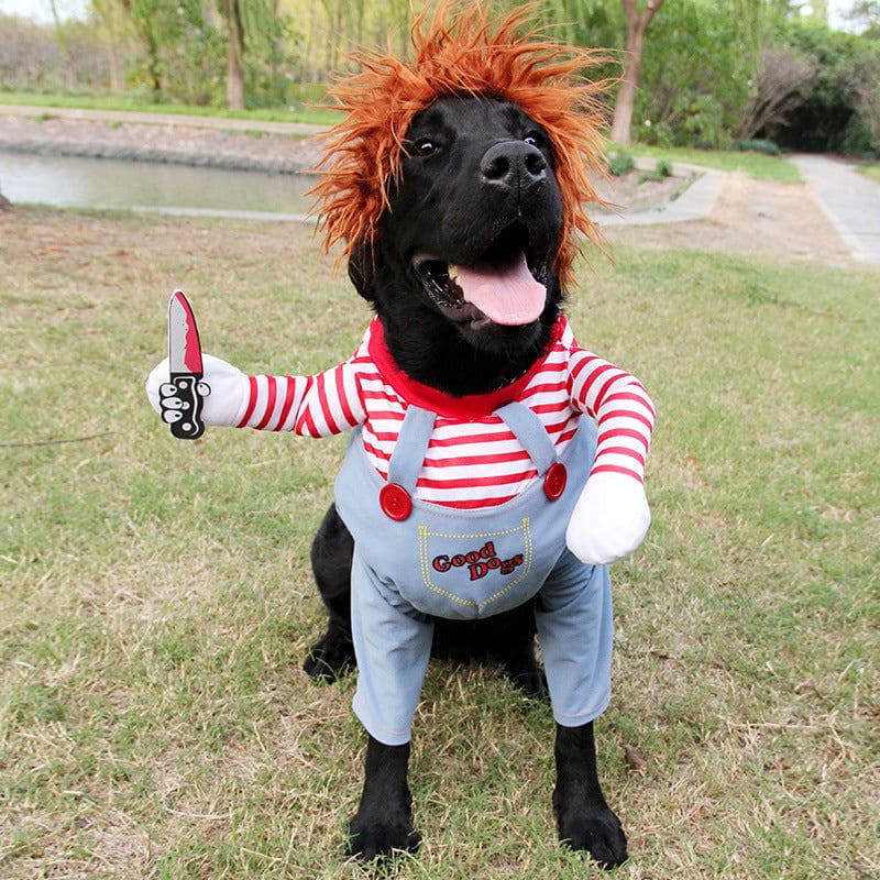 Funny Halloween Costumes For Dogs - Once & AGAIN Home Appliance Shop