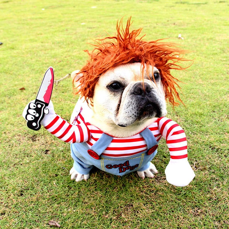 Funny Halloween Costumes For Dogs - Once & AGAIN Home Appliance Shop