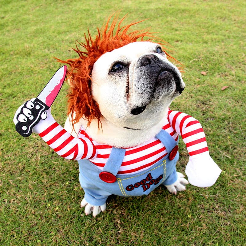 Funny Halloween Costumes For Dogs - Once & AGAIN Home Appliance Shop